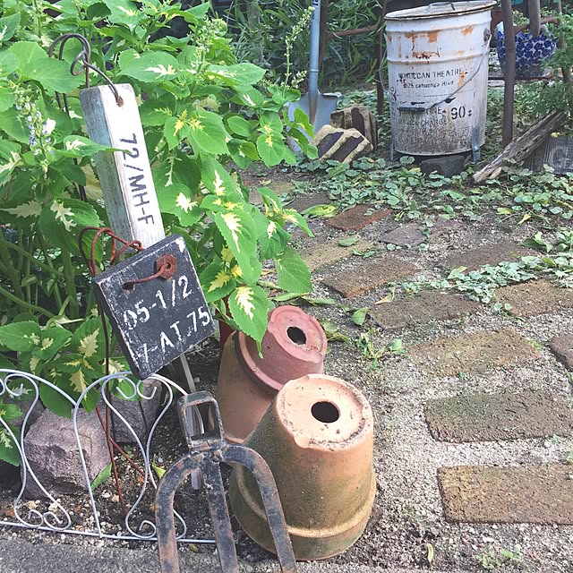 bibianさんの実例写真