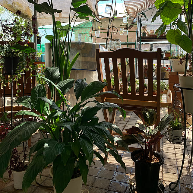 Aqettyさんの部屋