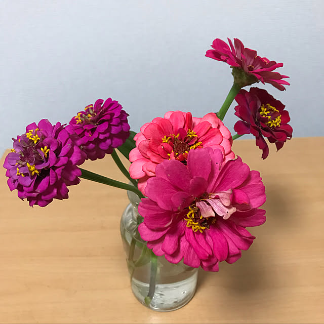 plumさんの実例写真