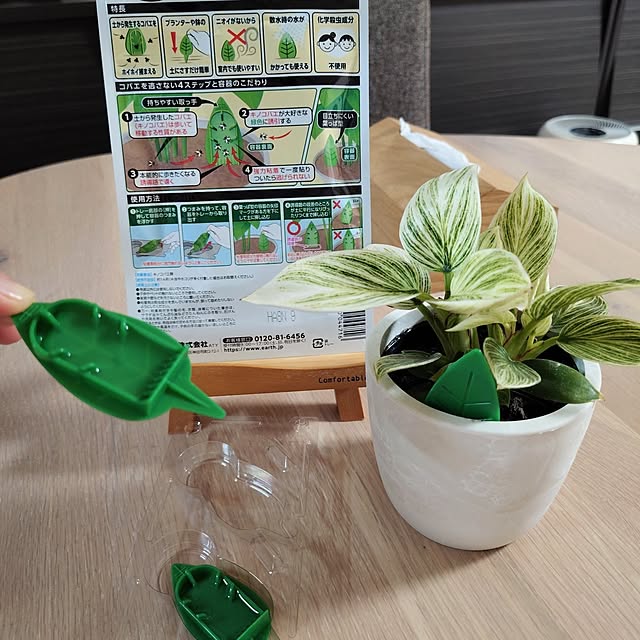 coconathuさんの部屋