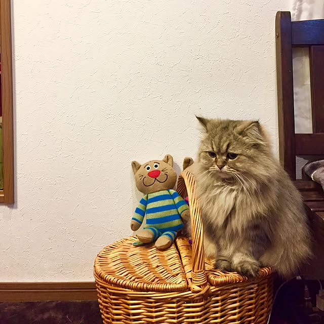 butachanさんの実例写真