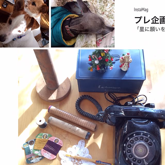 20rose_mamiさんの実例写真