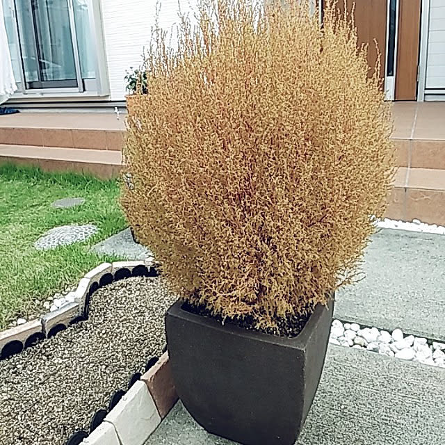 tomoさんの実例写真