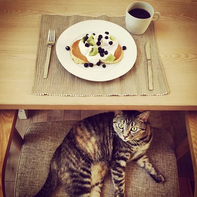 margon69さんの実例写真
