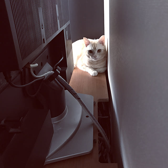 hiyupan88さんの実例写真