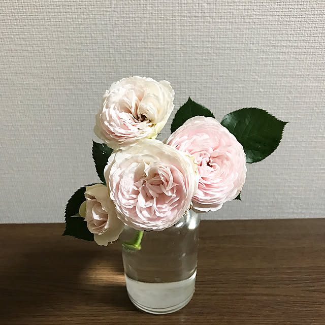 plumさんの実例写真