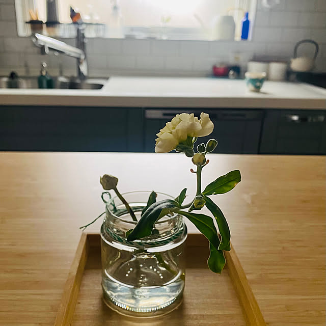 mipさんの部屋