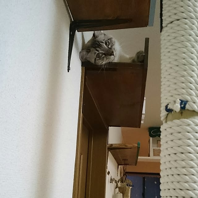 kazaneさんの実例写真