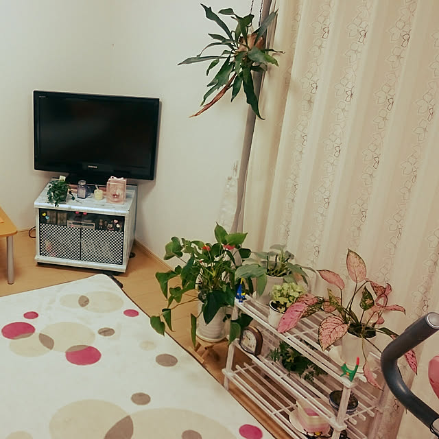 taiamiさんの実例写真