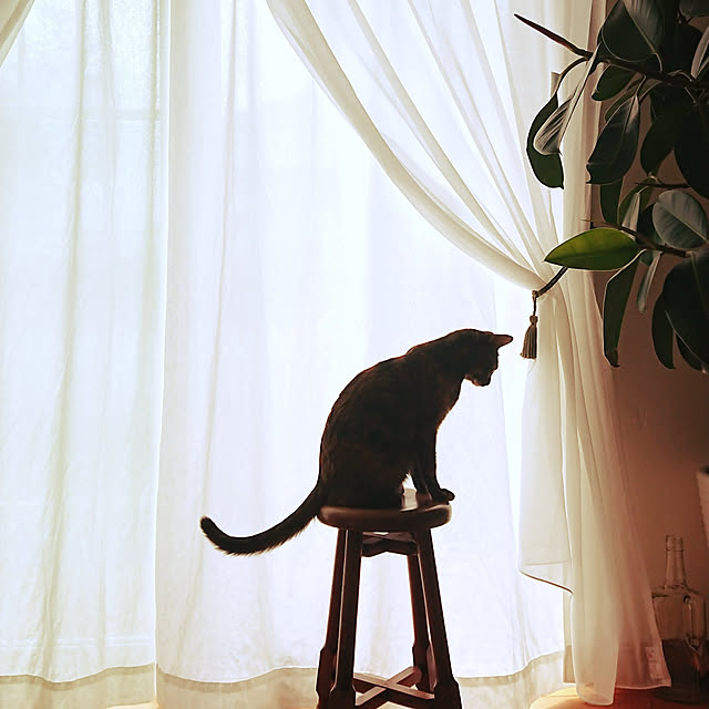 lilyhouse1104さんの実例写真