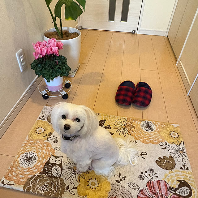 yuukiさんの実例写真