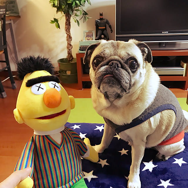 kellyさんの実例写真