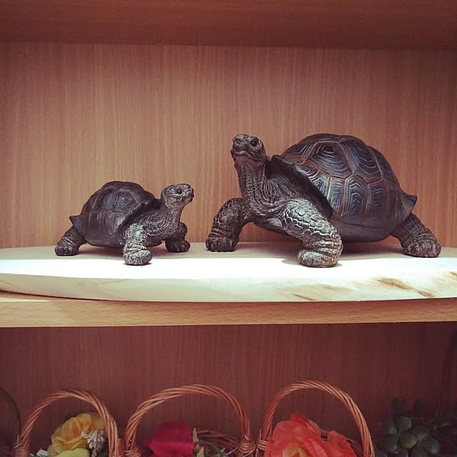 kyoさんの実例写真