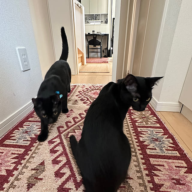 mi-miさんの部屋