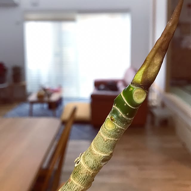 mmmさんの実例写真