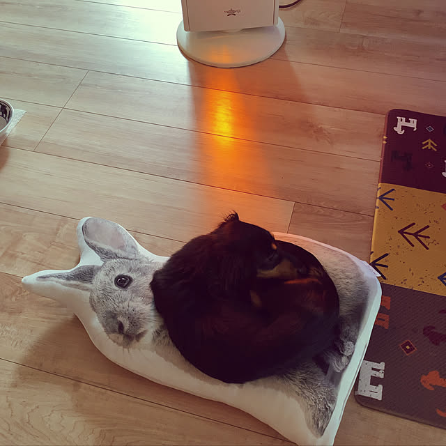 uninekoさんの実例写真