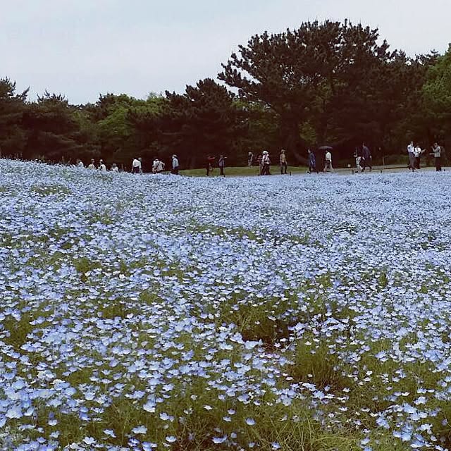 maachinさんの実例写真