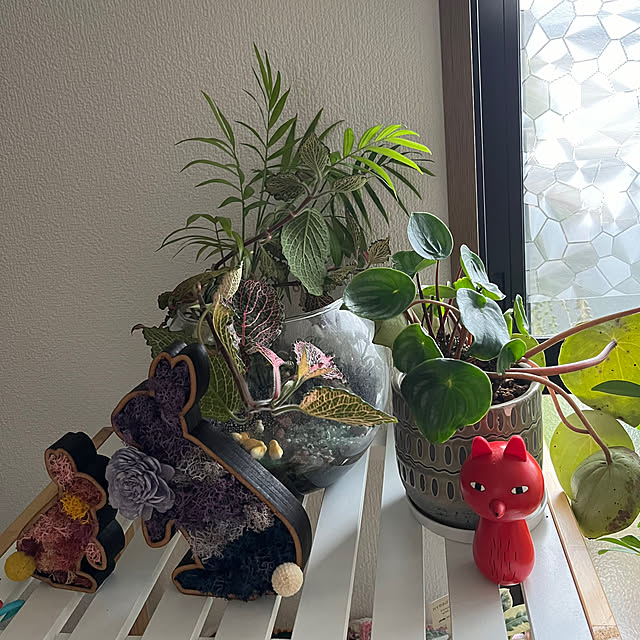 zoeさんの部屋