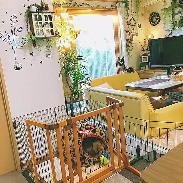 xigyanさんの実例写真