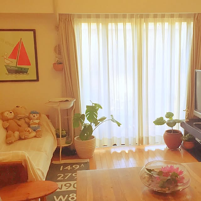 acurlyさんの実例写真