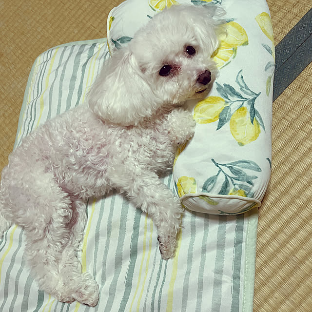 kakoさんの実例写真