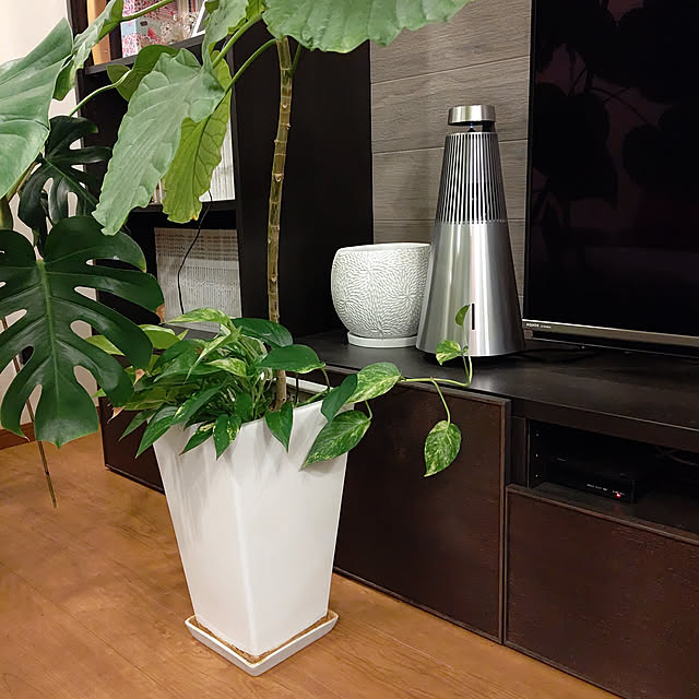 boutique.masayoさんの実例写真