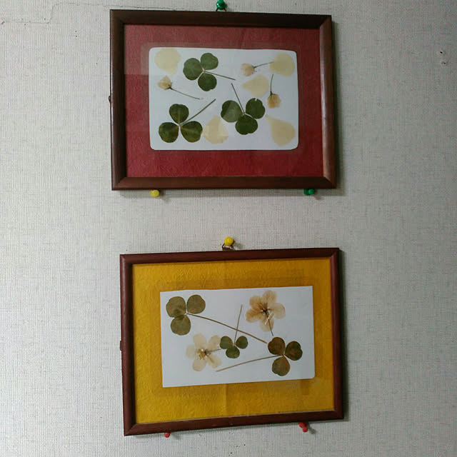 yukariobataさんの実例写真