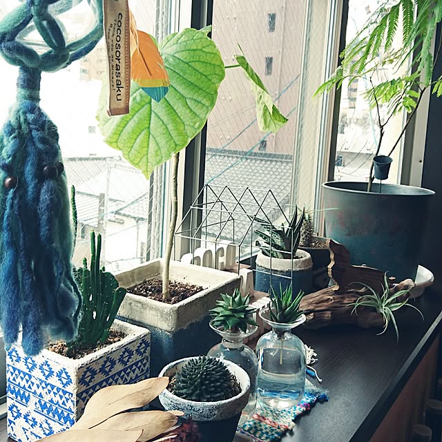 cocosorasakuさんの実例写真