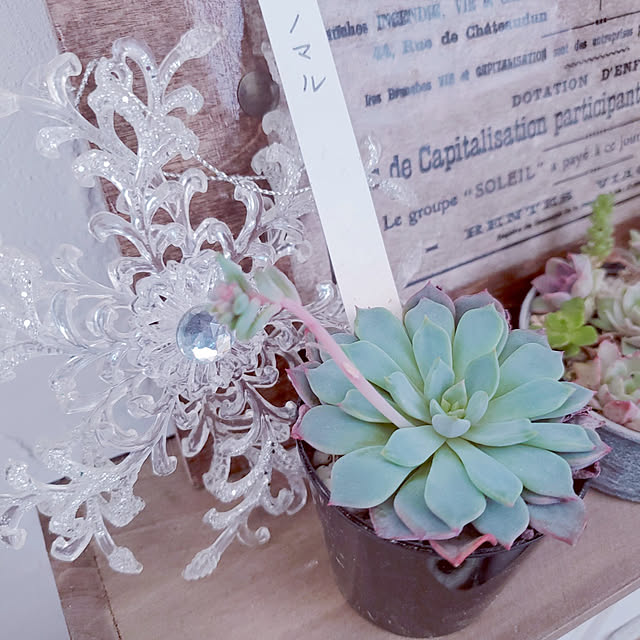 mmmさんの実例写真