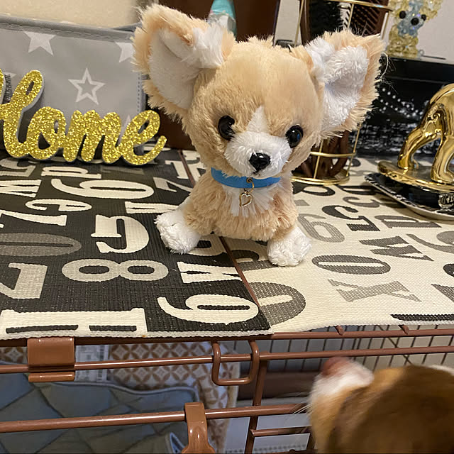 chocoさんの実例写真