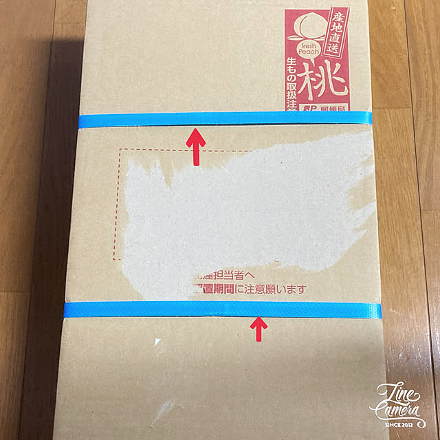 nepenthesさんの部屋