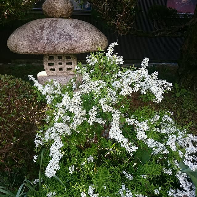 monblanさんの実例写真