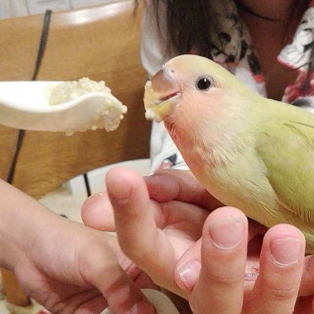 yukkieさんの実例写真