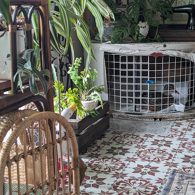 akiさんの部屋