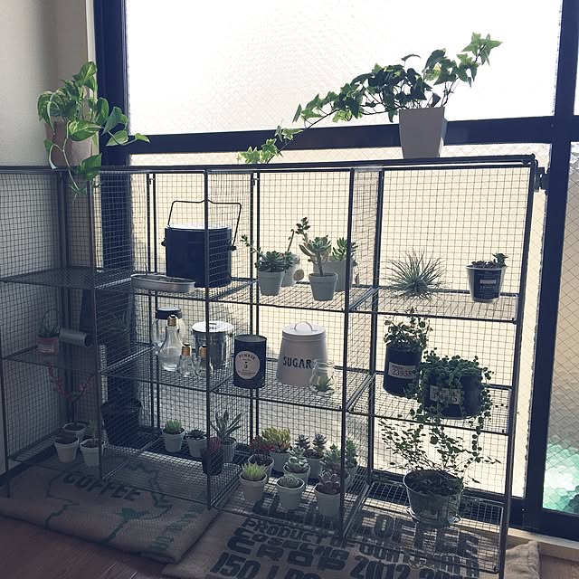 namisanさんの実例写真
