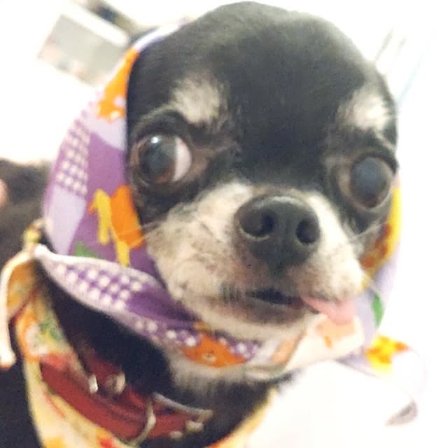 Bienvenueさんの部屋