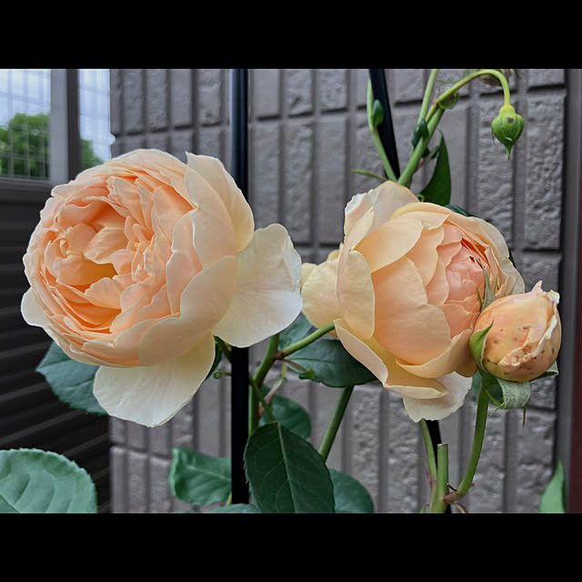tinkunさんの部屋