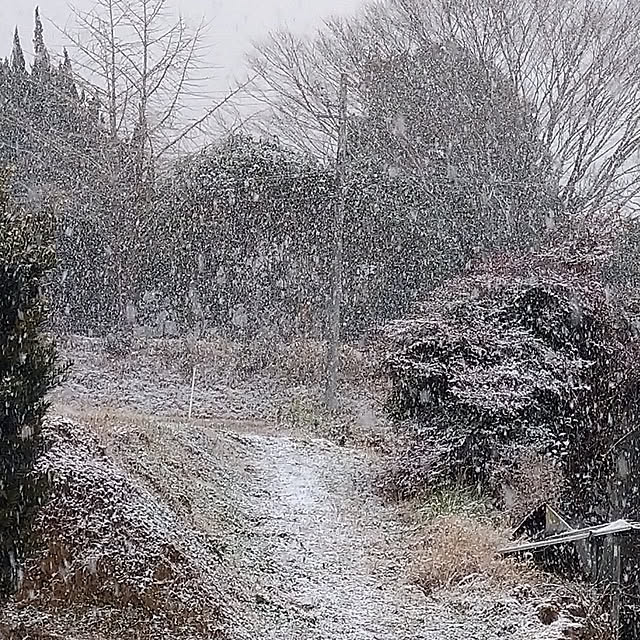 Rieさんの実例写真