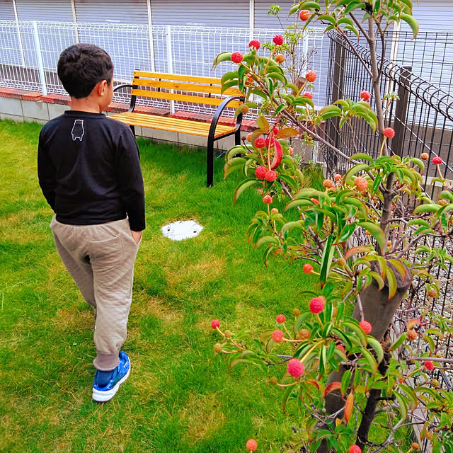 tateyさんの実例写真