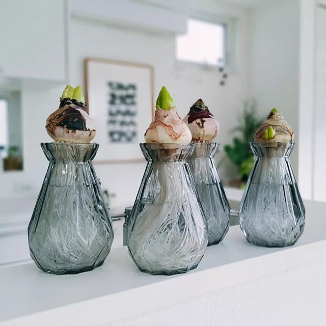 ryomomさんの実例写真