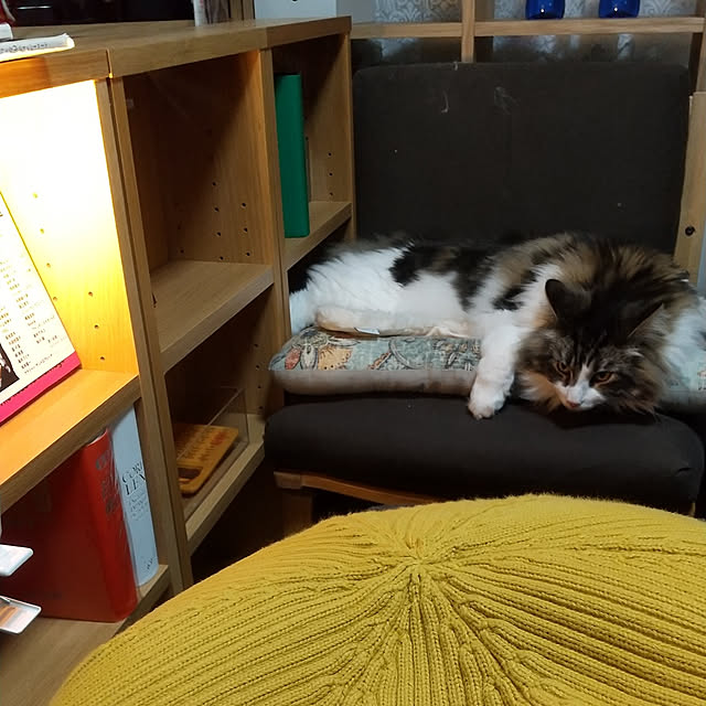 Yさんの実例写真