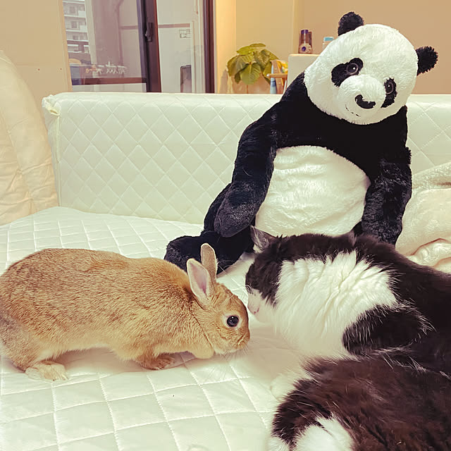 k.n_2258_m.pさんの実例写真