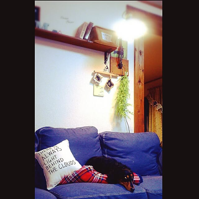 minaさんの実例写真
