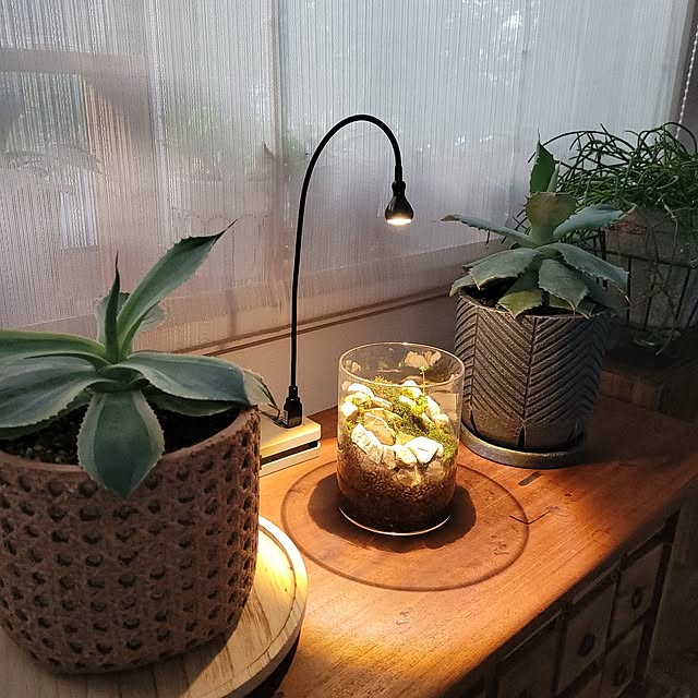 masarinn.さんの部屋