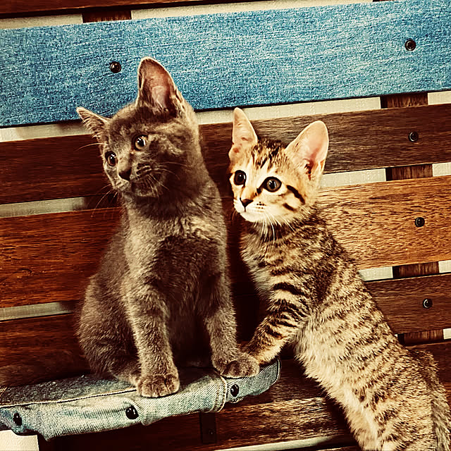 tamm0403さんの実例写真