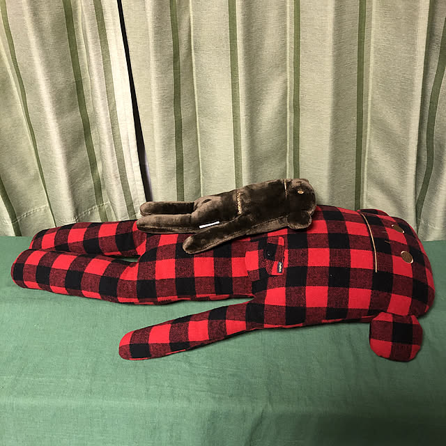 akokiさんの実例写真