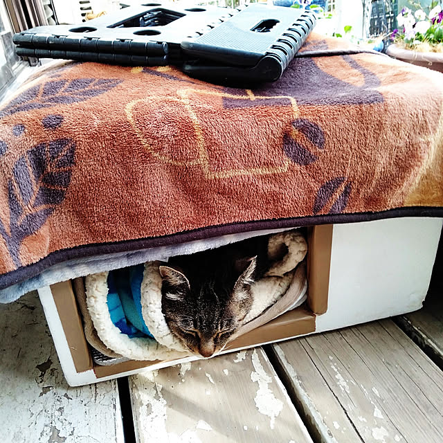 showさんの実例写真