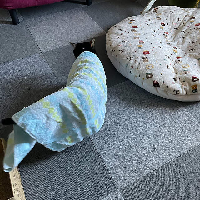 momocchiさんの部屋