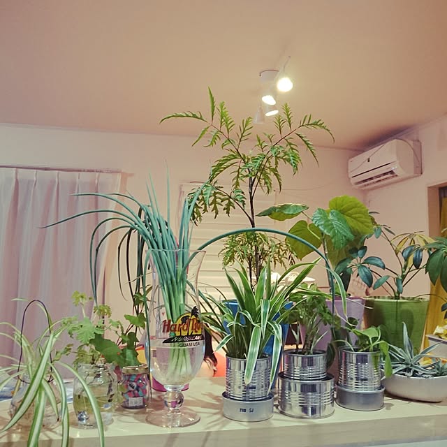 suzu.さんの実例写真