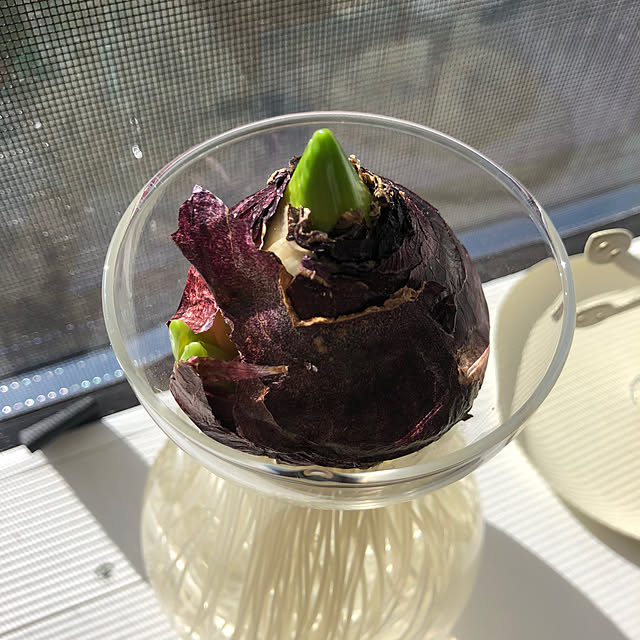 kaorikoさんの部屋
